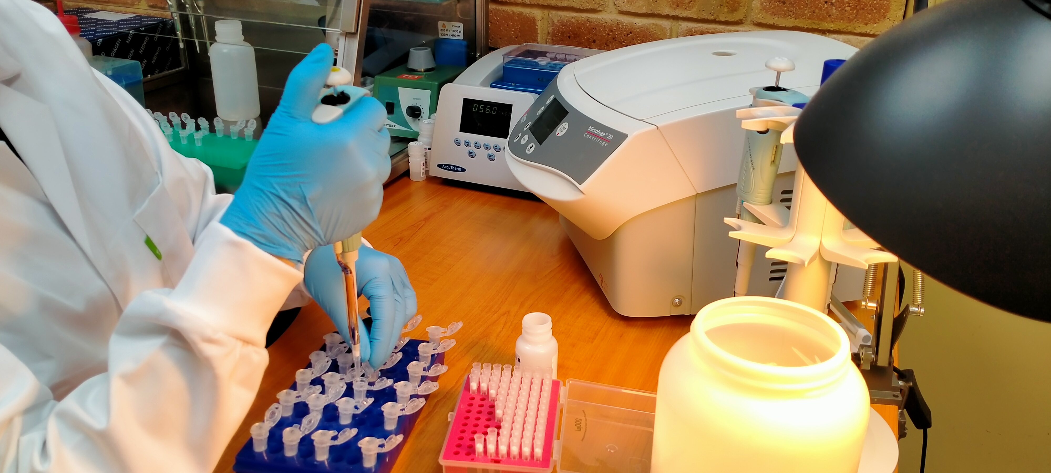 DNA analysis