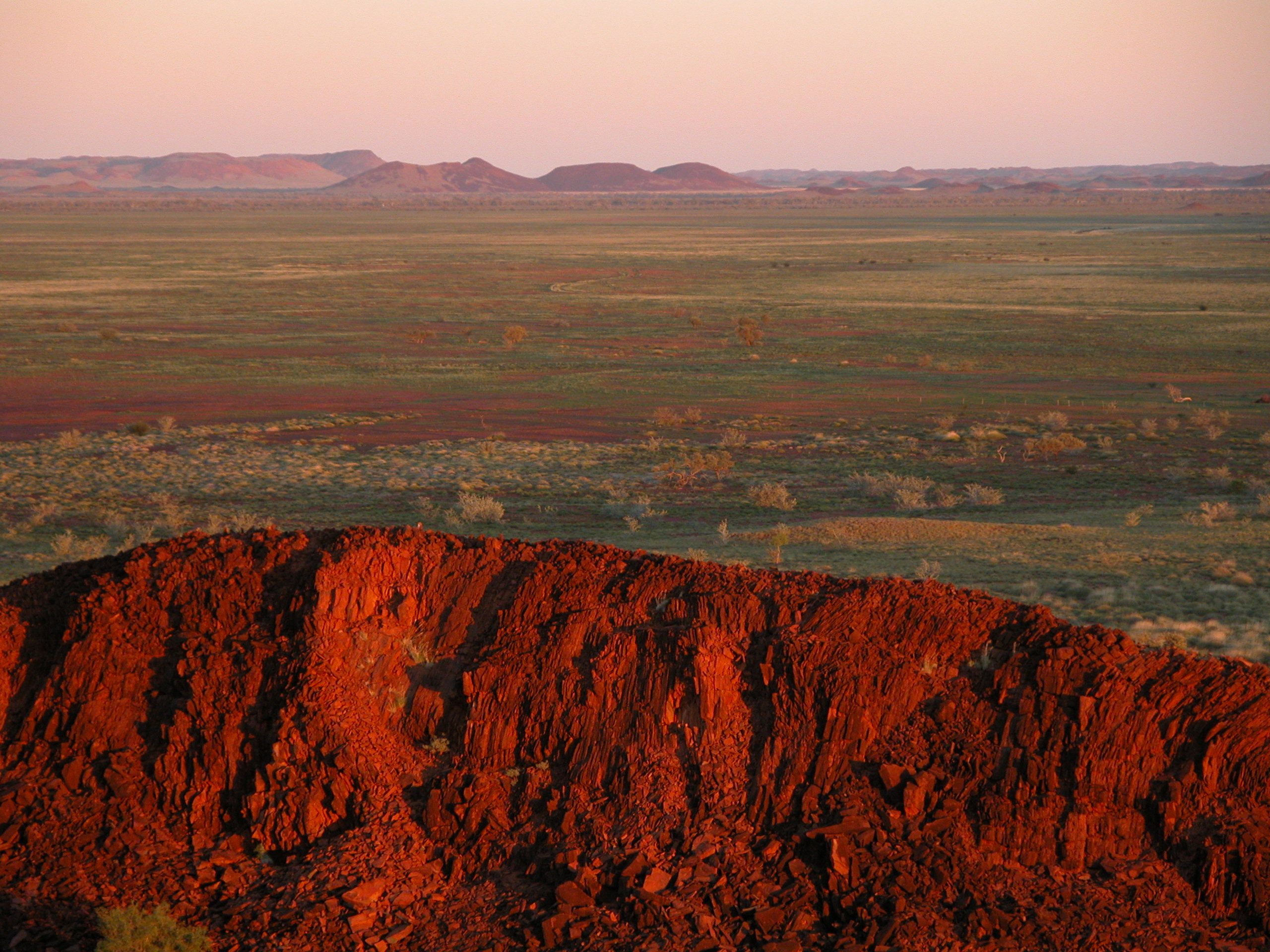 Science-led environmental consulting for complex ecological decisions