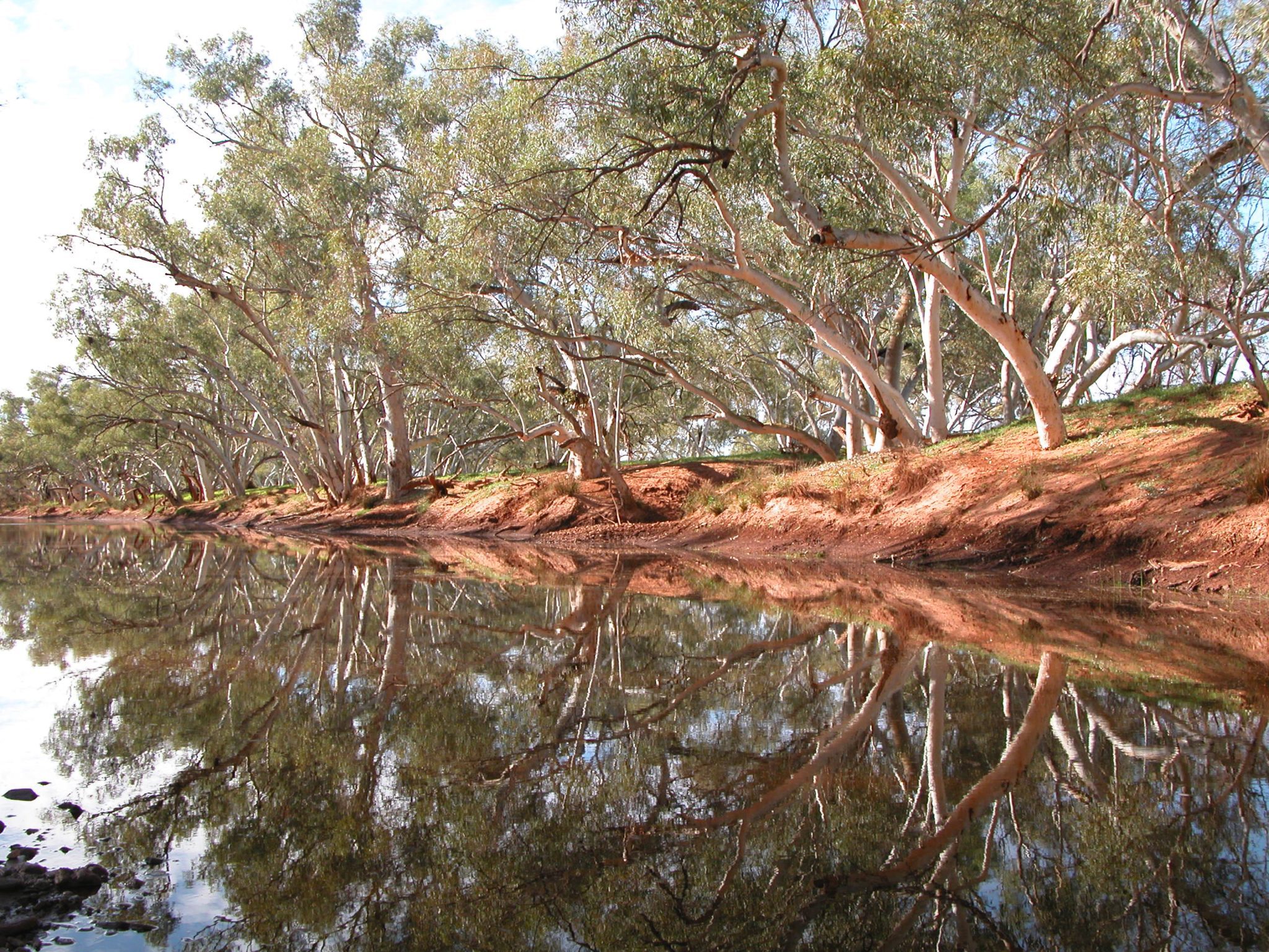 Science-led environmental consulting for complex ecological decisions
